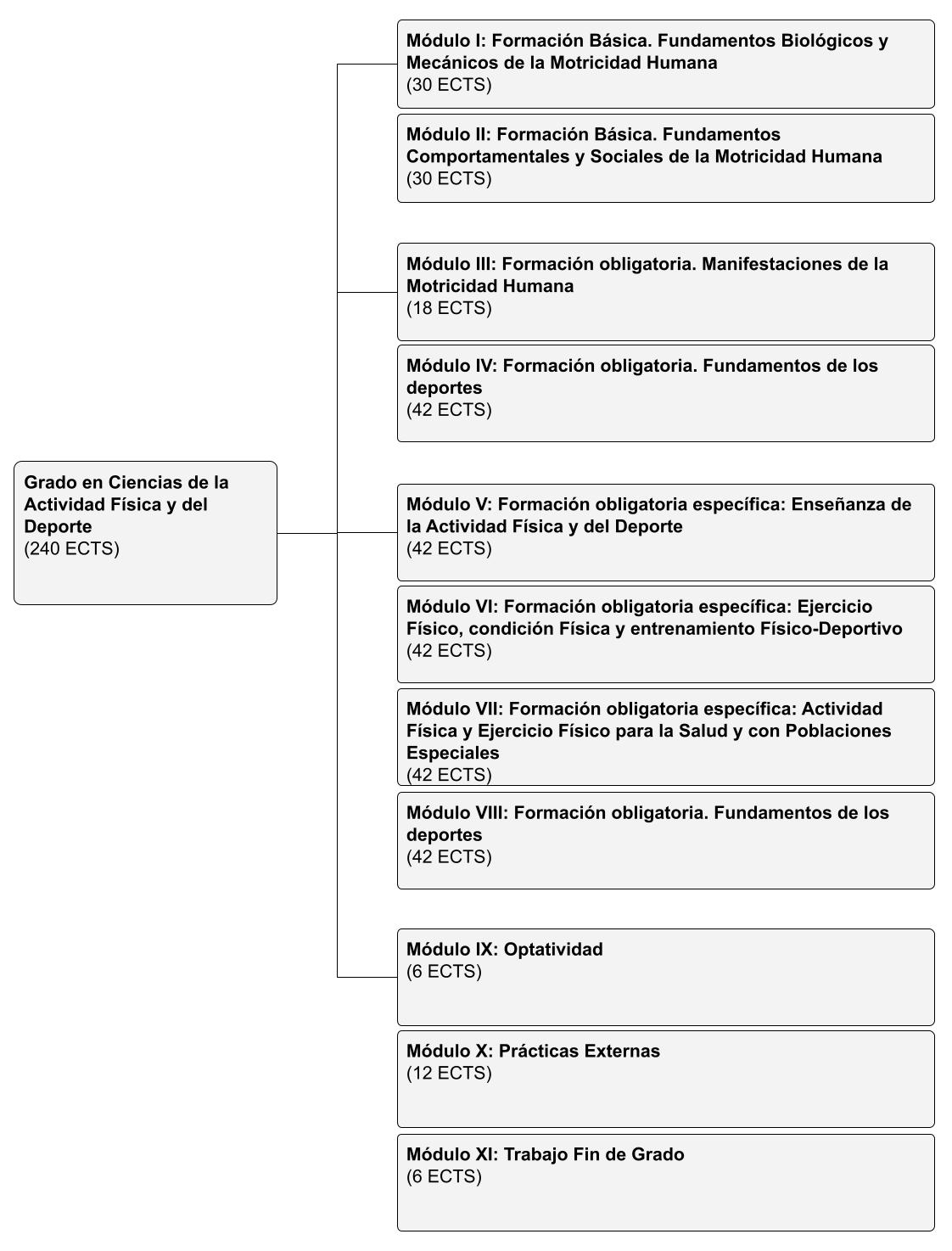 Estructura del Grado en Ciencias de la Actividad Física y del Deporte (Plan 2025)