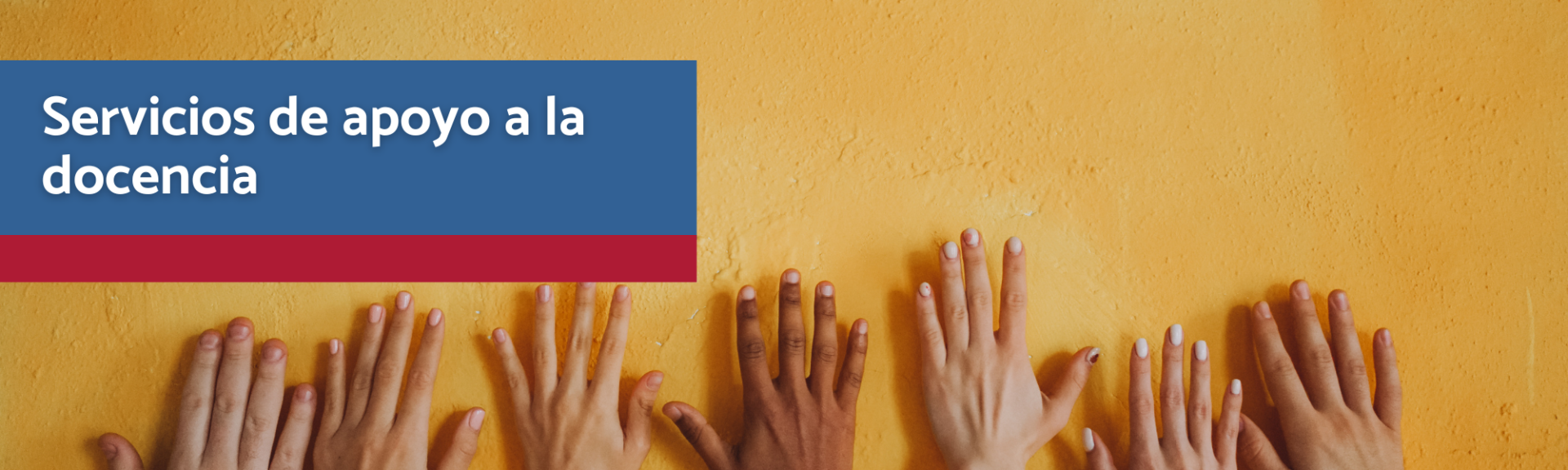 Servicios de Apoyo a la Docencia