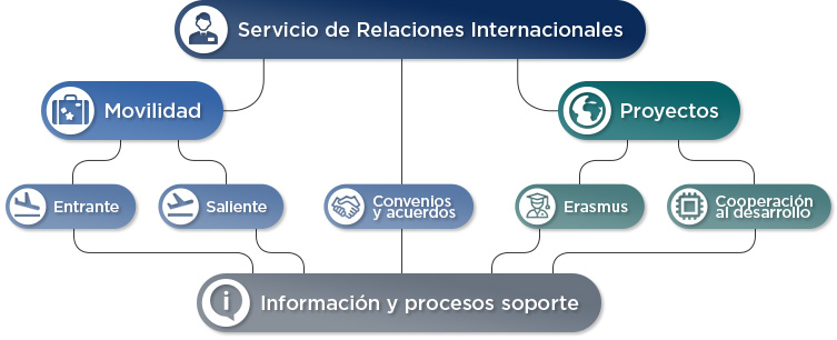 Organigrama del Servicio de Relaciones Internacionales