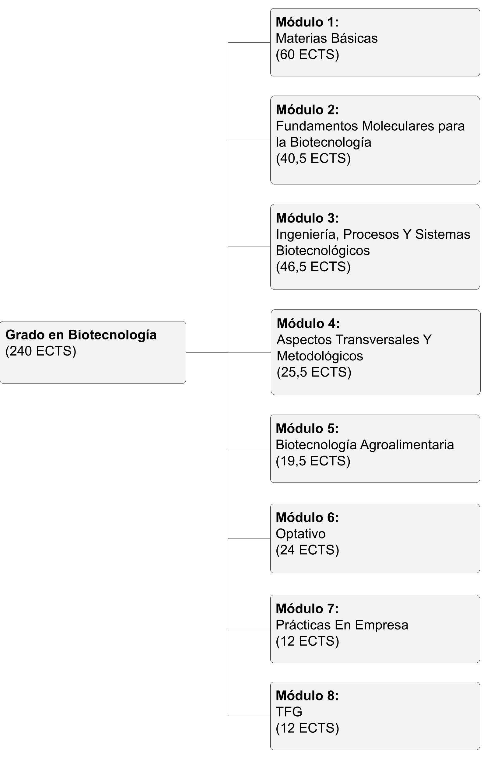 Estructura del Grado en Biotecnología (Plan 2024) 