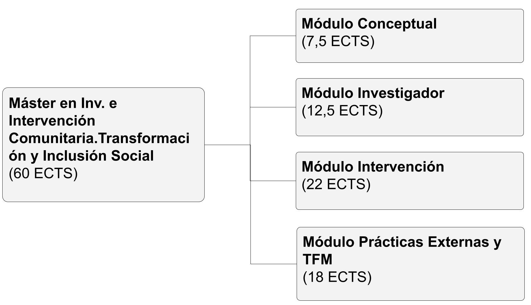 Estructura del Máster en Investigación e Intervención Comunitaria para la Transformación y la Inclusión Social