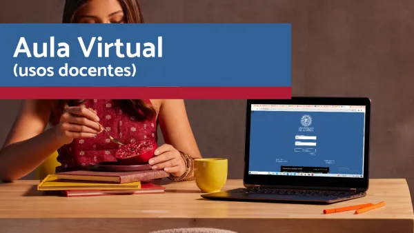 Aula Virtual (usos docentes)