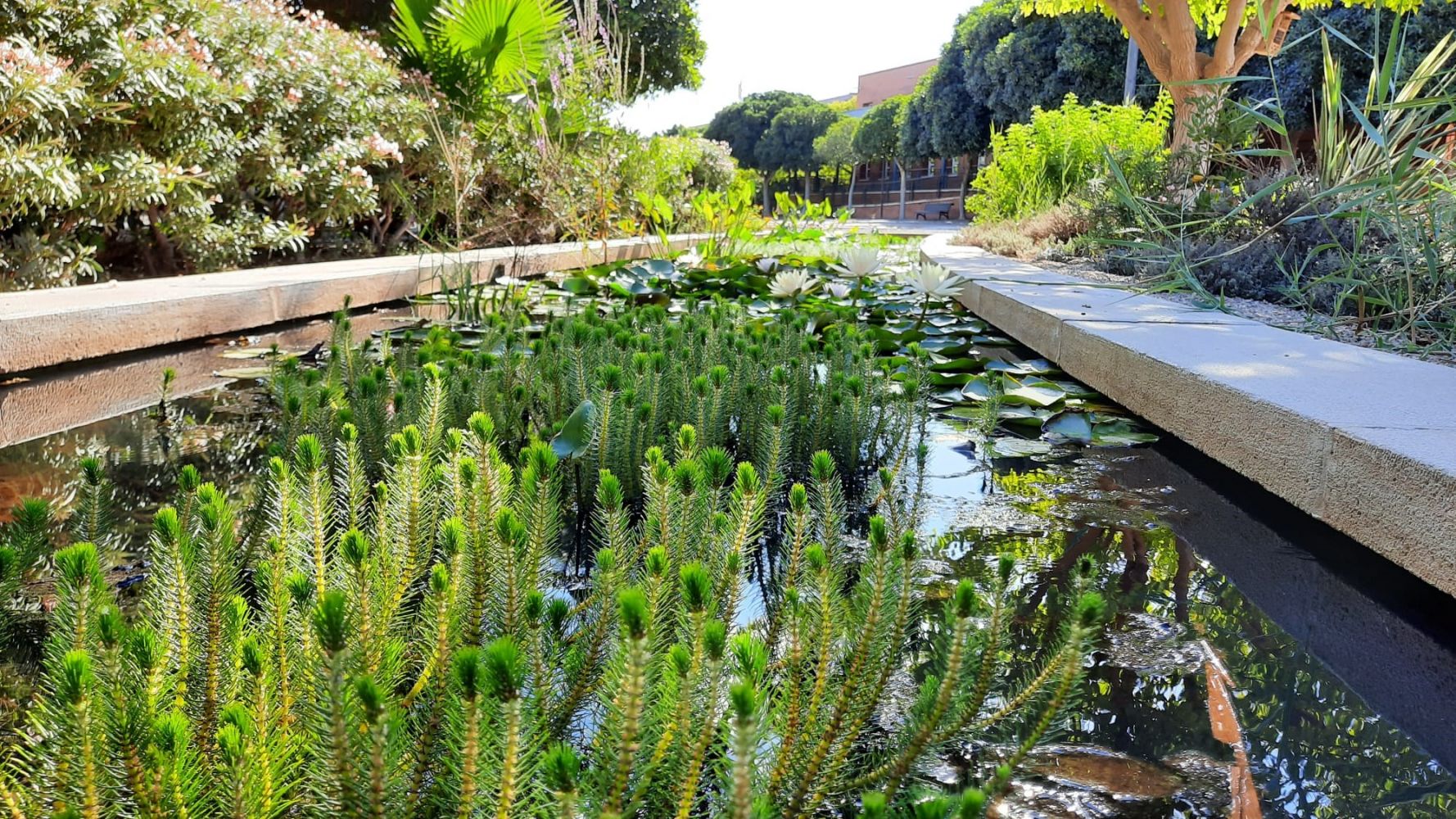 Jardines del Agua
