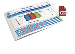 Informe de seguimiento 