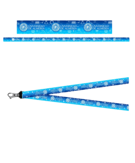 Lanyard