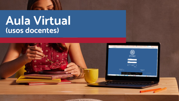 Aula Virtual (usos docentes)