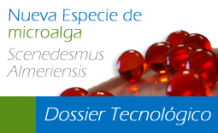 Dossier Tecnlógico