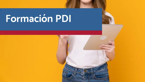 Servicio de Formación de PDI