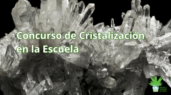 Concurso de Cristalización
