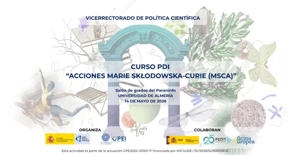 CURSO PDI