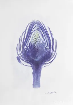 Cynara I