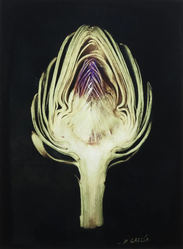 Cynara II