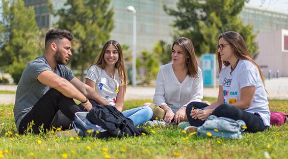 Cursos de Verano