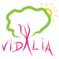Centro Vidalia Centro Vidalia