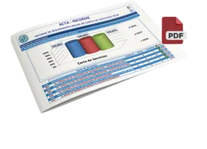 Informe de seguimiento 