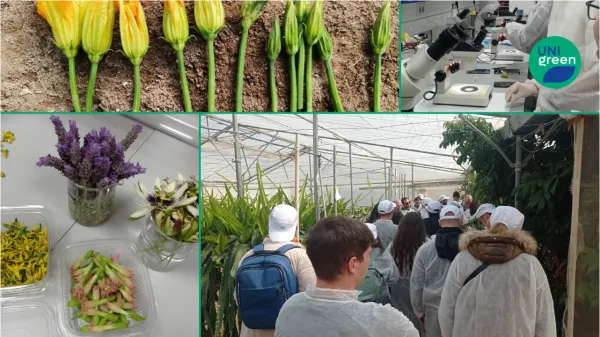 From Flower to Fruit: Methods and Techniques for Assessing Floral Fertility