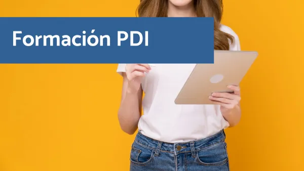 Formación PDI