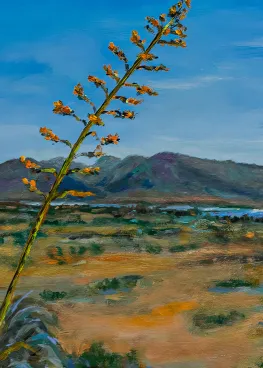 Salinas Cabo de Gata