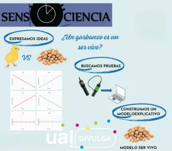 UAL DIVULGA