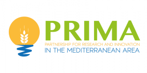 Logo PRIMA