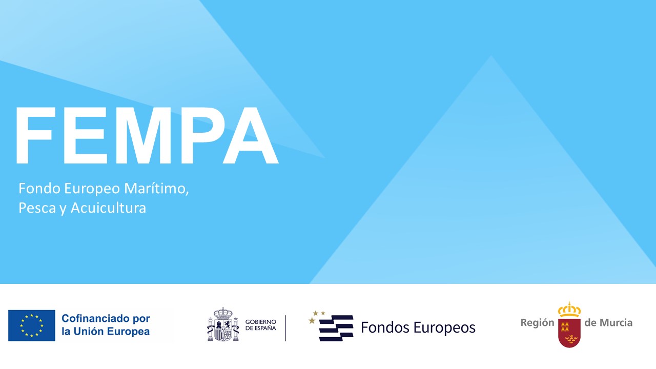 FEMPA logo.jpg