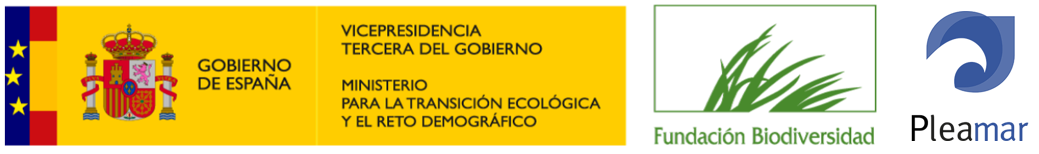 Captura de pantalla 2026-02-20 105530.png